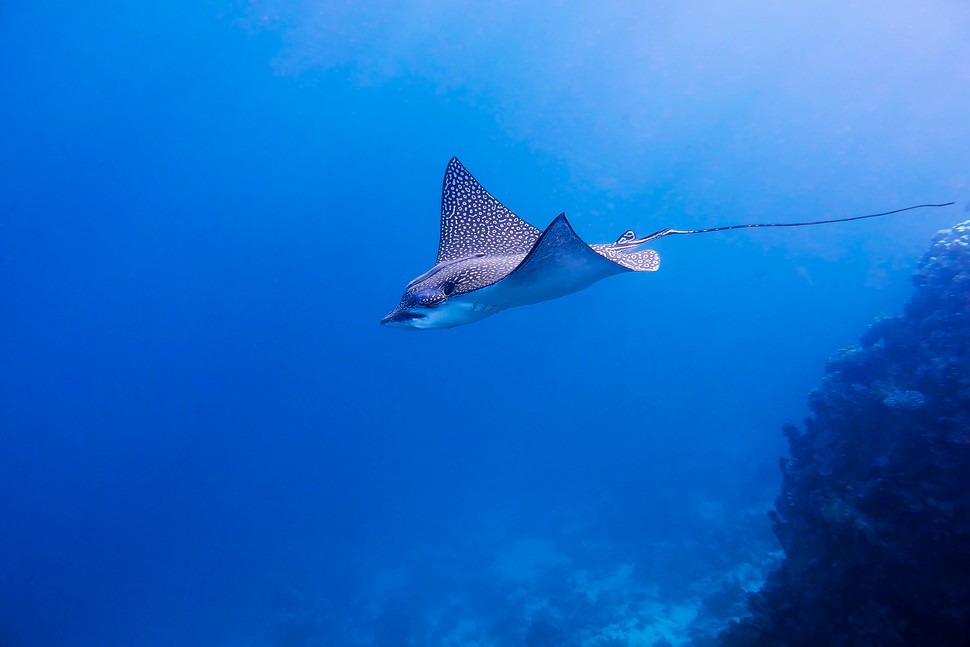 Sharm El Sheik 2014-02